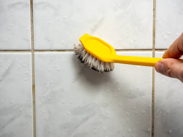 Certified Mold Removal in Oak Bluffs, MA