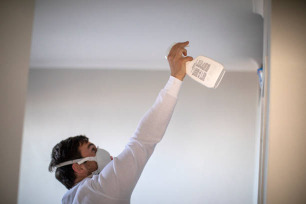 Best Mold Remediation  in Oak Bluffs, MA