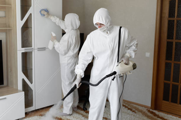 Best Emergency Mold Removal  in Oak Bluffs, MA