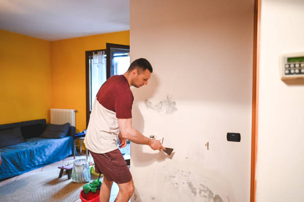 Best Mold Remediation Services  in Oak Bluffs, MA
